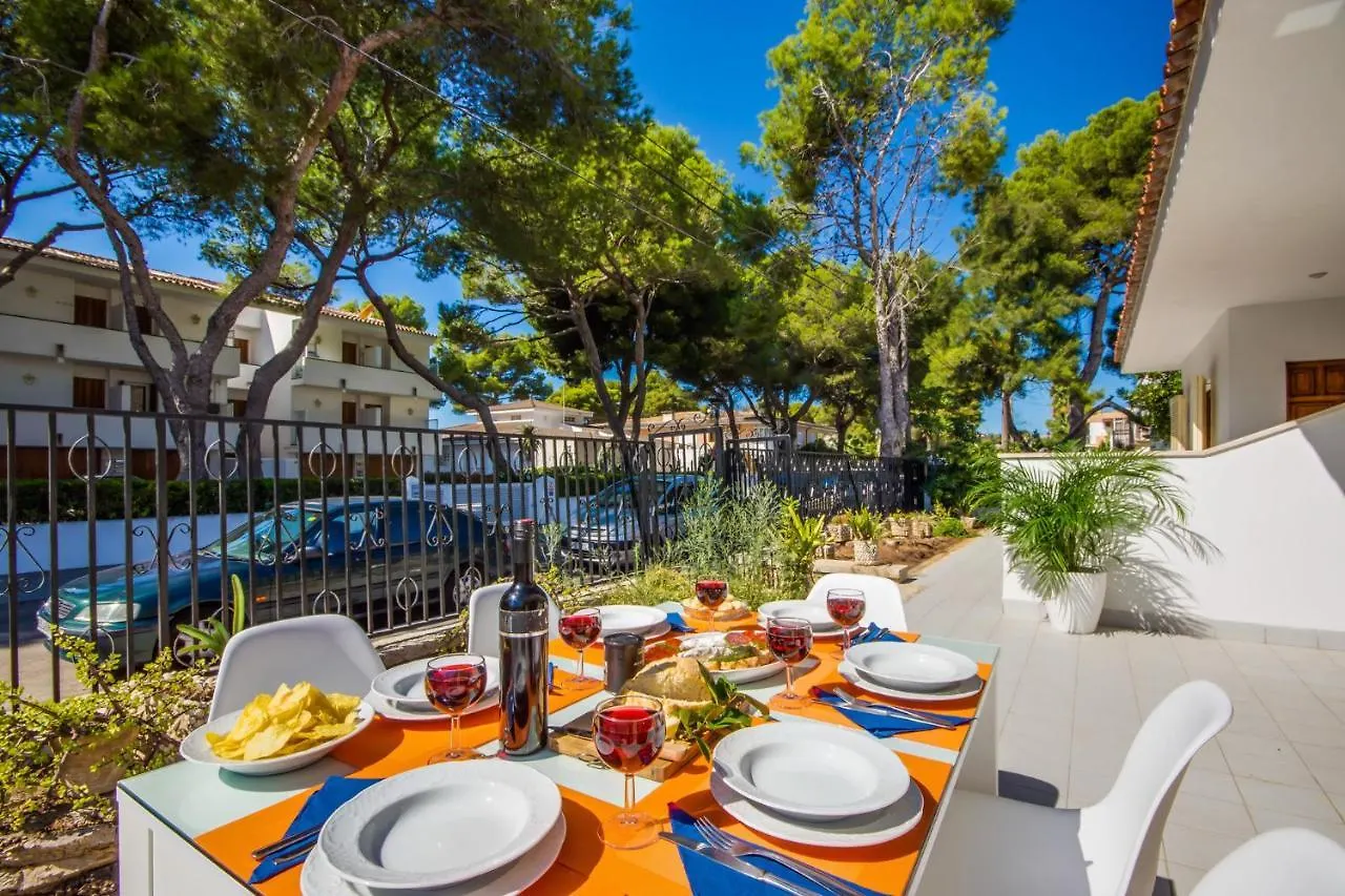 Ideal Property Mallorca - Villa Rosita 12 Alcudia  Holiday home