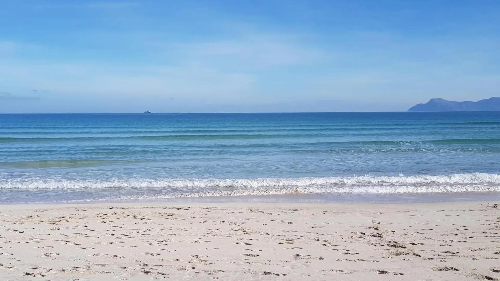 Ideal Property Mallorca - Villa Rosita 12 Alcudia  Spain
