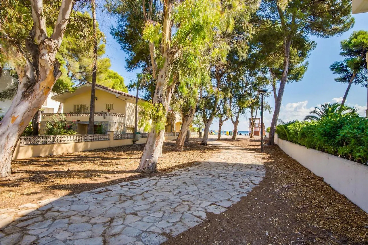 Ideal Property Mallorca - Villa Rosita 12 Alcudia  Holiday home Alcudia (Mallorca)